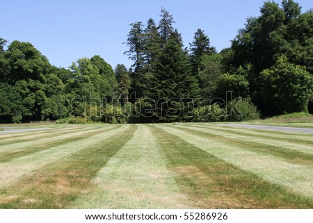 Cut grass with line patterns backed with trees and blue sky.