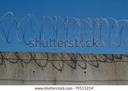 A security barrier made from spiralled razor wire and a concrete wall with a blue sky in the background.