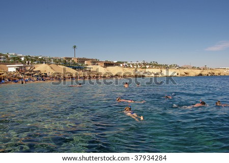 Snorkelers in the water at Sharks Bay, Sharm El Sheikh, Egypt