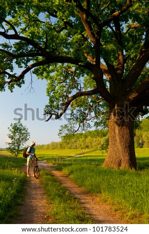 Young traveler with bicycle and camera looking at huge oak beside the country road on sunny spring day.