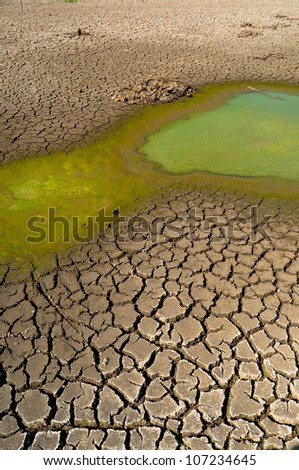 Polluted water and cracked soil of dried out lake during drought.