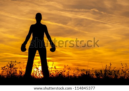 Silhouette of the girl in boxing gloves at sunset.