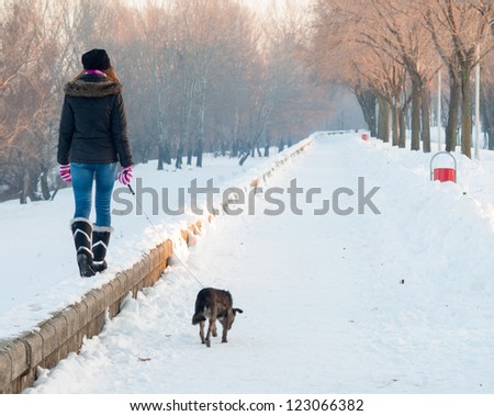 Teenage girl walks the dog on snowy winter day.