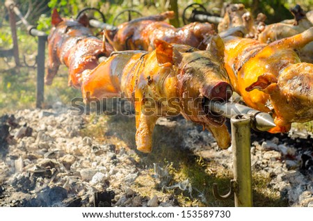 Roasted pigs on skewers on sunny summer day.