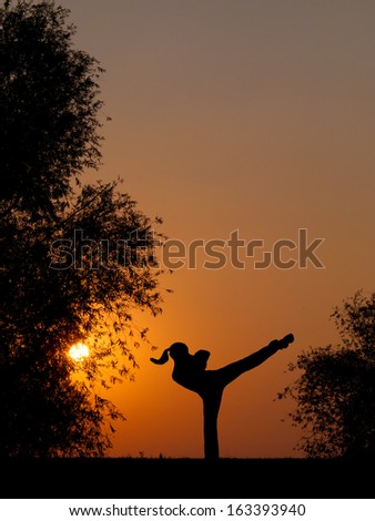 Silhouette of beautiful kick boxing girl exercising high kick in the nature on sunny summer day.
