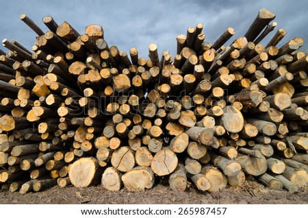 Pile of lumber on the lumberyard.