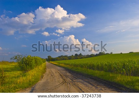 Dusty road leads passengers through the meadows and fields. Sky is blue and the clouds are fluffy and white.