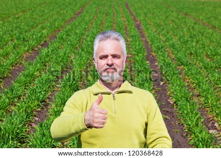 Old Man with thumb up on a grass
