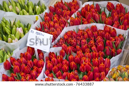 Bouquet of tulips in the flower market in Amsterdam.