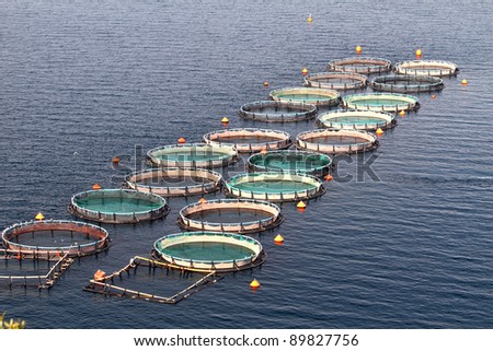 Fish farms in Peloponesse, Greece