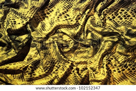 Folded snake skin