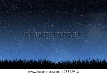 Grass under the night sky
