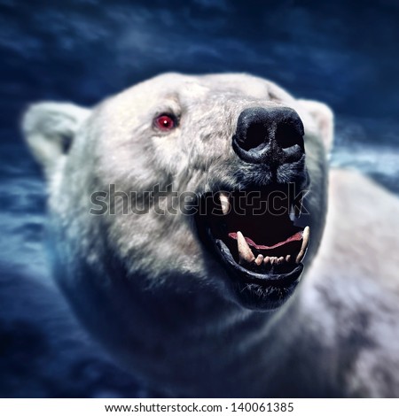 Angry white polar bear with the sharp teeth