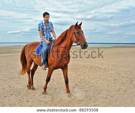 Man on horse in nature