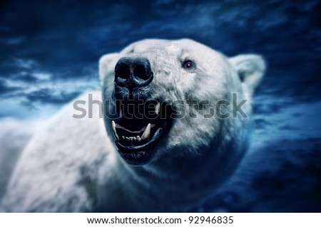 Angry polar bear with sharp teeth