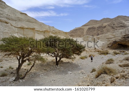 Hiking in Zohar gorge near Dead sea in Israel.