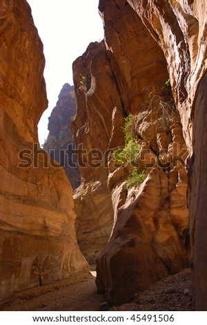 Deep Canyon in Jordan.
