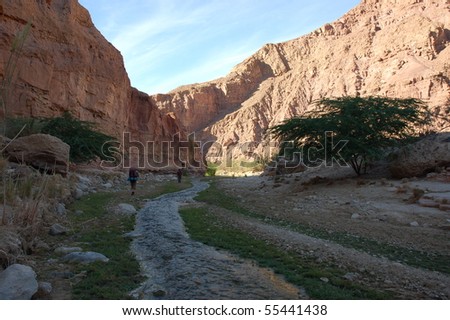 Hiking through deep canyon in desert mountains, Jordan.