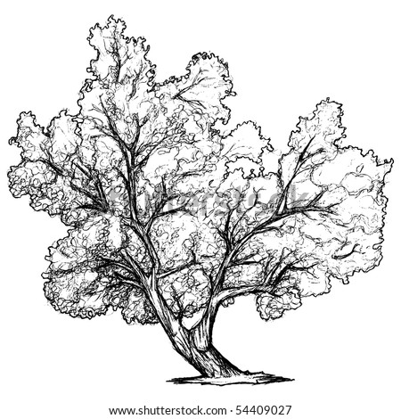 dates tree drawings. stock vector : Tree Drawing