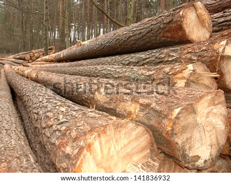 Timber in storage for later processing at a sawmill