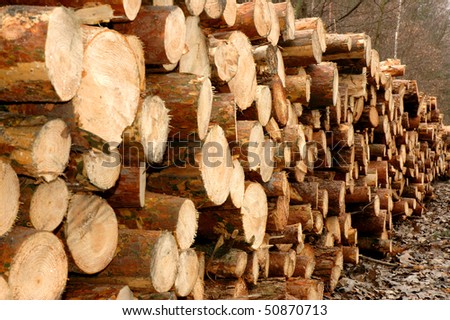 Piles of wood by a lumber mill