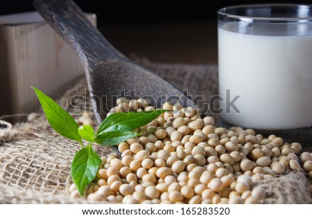 Soy Milk With Soy Beans Background