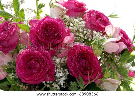 Wedding bouquet with pink roses, white gypsophila, and sweet peas.