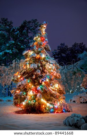 Snow covered Christmas tree with colorful lights