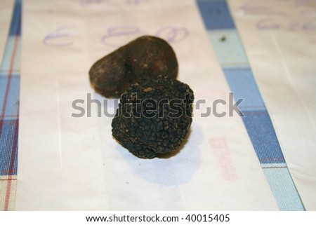 black truffle Alba, \