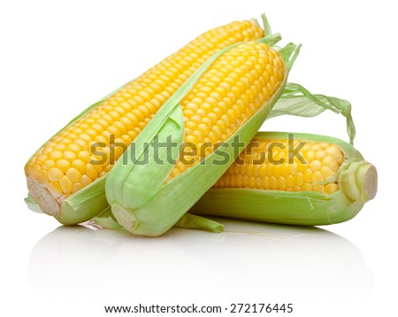 Three corn cob isolated on a white background
