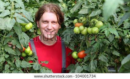 Smiling greenhouse worker standing among tall tomato plants. Greenhouse produce.\
Food production. Tomato growing in greenhouse.