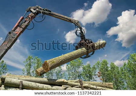 Lumber Industry - Crane Lifting Timber.