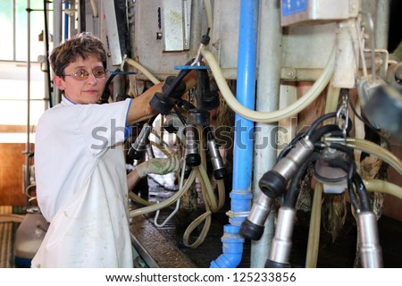 Woman Milking Cows - Dairy Farm. Portrait of a female worker in milking parlor.