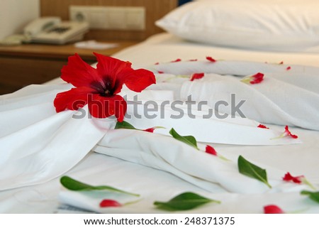 Decorated Hotel Bed.Honeymoon bed decorated with red petals and towels. \
Romantic Flower Petal Arrangement on a Hotel Bed.