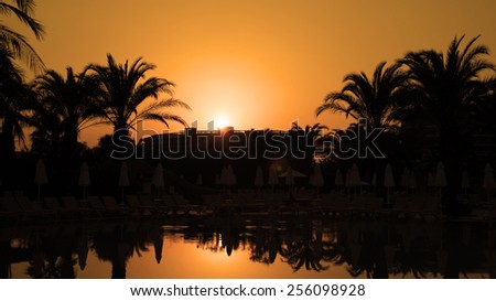 Orange Sunset With Palm Trees and Sun Reflection on Water.\
Palm Trees Silhouetted In Bright Orange Sky Sunset. Idyllic tropical sunset. \
Travel Destination. Summer Resort.
