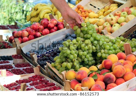 Fresh fruit on the market. A fruit stand selling grapes, nectarines, apples, pears, bananas, and other fresh fruit