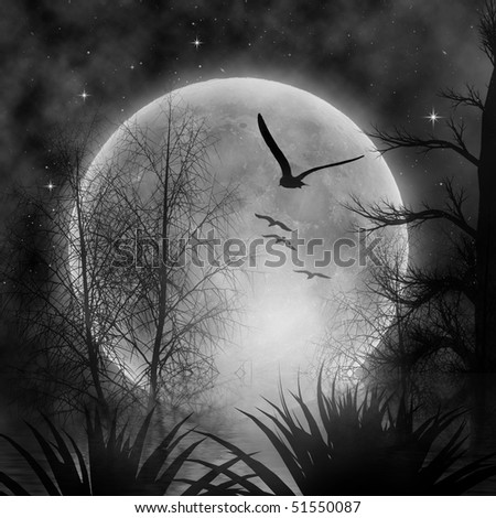 autumn night with full moon