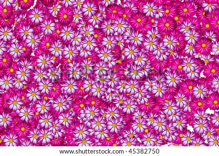 Wallpaper or background of random pink, white and purple flowers covering everything