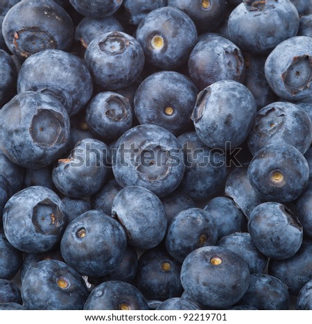 Blueberry Background