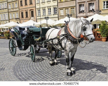 A European horse and buggy ready for tourists