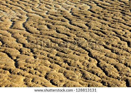 A full frame image of the rippled sand texture created by the tide going out.