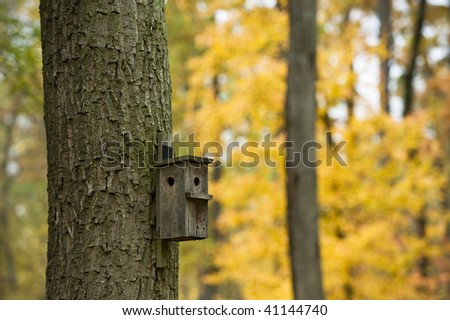 View to a manmade tree house for birds in a forest