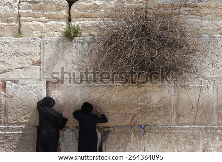 Jerusalem, Israel - March 24 2015 : Orthodox Jewish men pray at the western wall. The western wall is an exposed section of ancient wall situated on the western flank of the Temple Mount.
