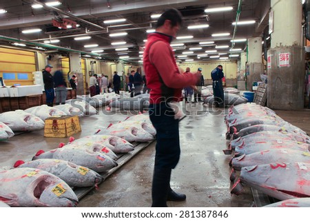 Tokyo, Japan - May 10, 2015: Famous Tuna auction at Tsukiji fish market. Tsukiji is the biggest fish market in the world. The Tuna auction is the main attraction for tourists, No flash allowed.