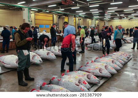 Tokyo, Japan - May 10, 2015: Famous Tuna auction at Tsukiji fish market. Tsukiji is the biggest fish market in the world. The Tuna auction is the main attraction for tourists, No flash allowed.