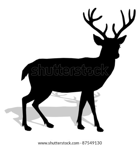 deer vector image