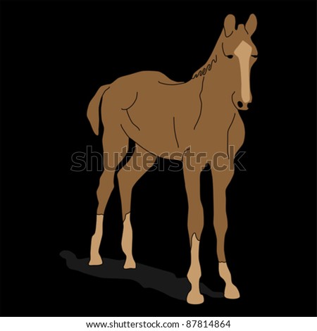 animal - horse, vector