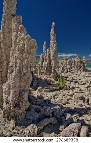 Nature sculpture groups on Mono Lake National Park in California, USA