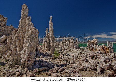 Nature sculpture groups on Mono Lake Nature Park in California, USA