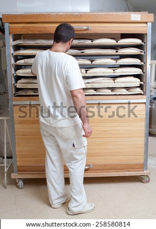 Baker checking  pieces of bread in the fermentation wooden cabinet. Manufacturing process of spanish bread